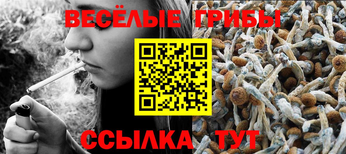 Псков  Галлюциногенные грибы Cubensis  Вход с VPN 