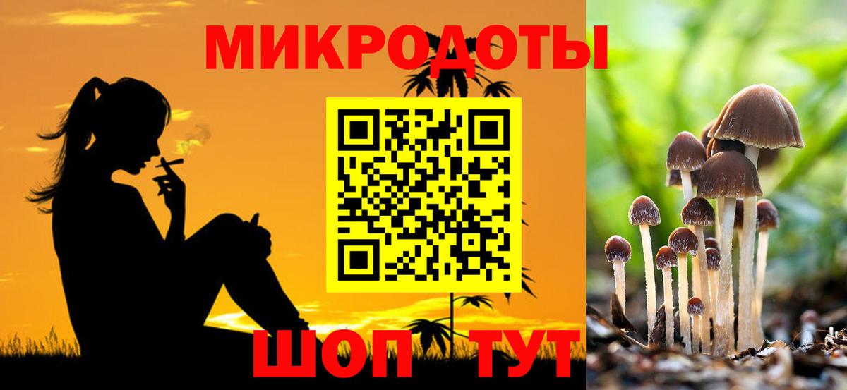 Галлюциногенные грибы Magic Shrooms Псков